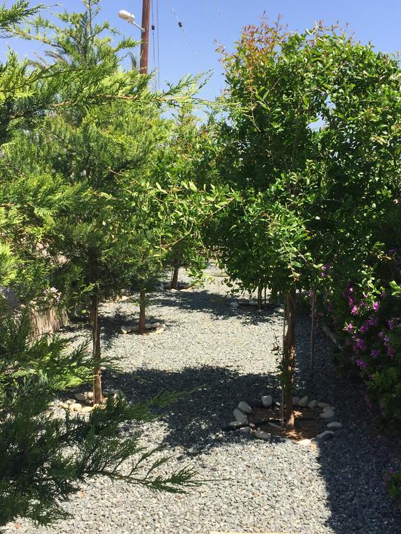 Casa Vacanze Baciata Agios Theodoros Esterno foto